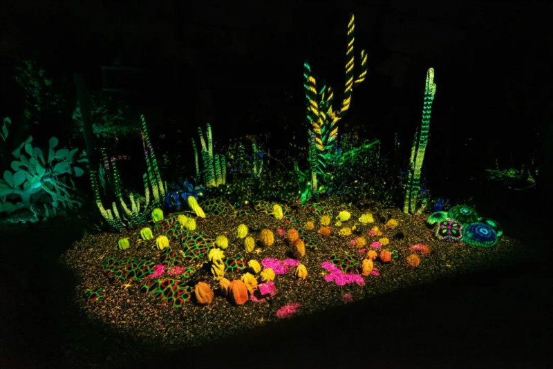 國外主題公園沉浸式夜游案例（上）